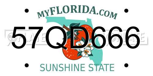 57QD666 Florida License Plate