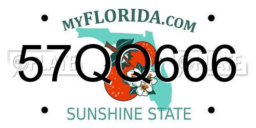 57QQ666 Florida License Plate