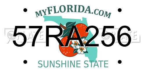 57RA256 Florida License Plate