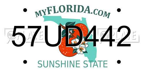 57UD442 Florida License Plate