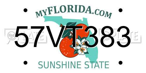 57VT383 Florida License Plate