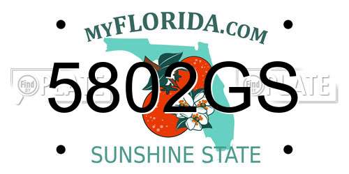 5802GS Florida License Plate