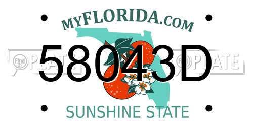 58043D Florida License Plate