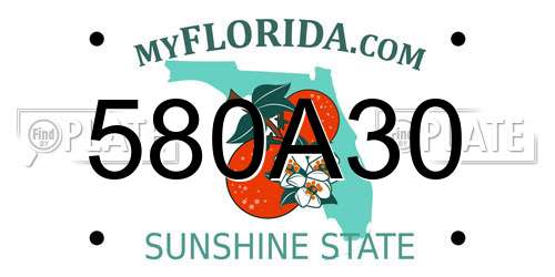 580A30 Florida License Plate