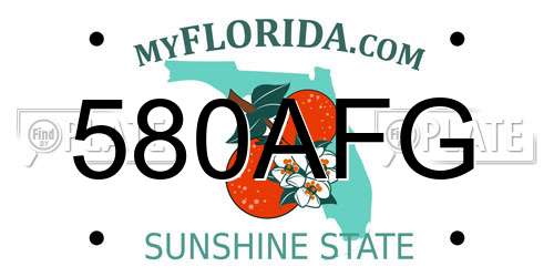 580AFG Florida License Plate
