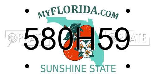 580H59 Florida License Plate