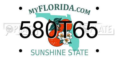 580T65 Florida License Plate
