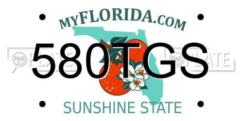 580TGS Florida License Plate
