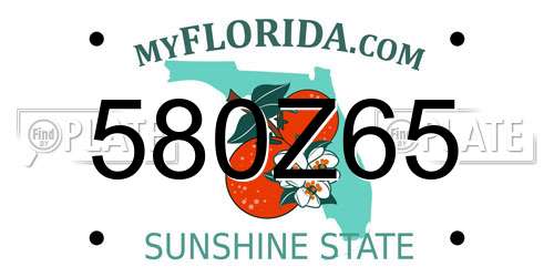 580Z65 Florida License Plate