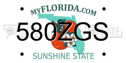 580ZGS Florida License Plate