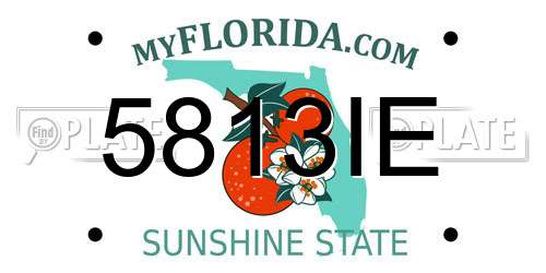 5813IE Florida License Plate