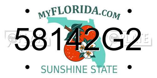 58142G2 Florida License Plate