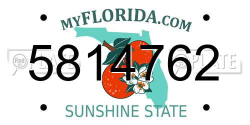 5814762 Florida License Plate