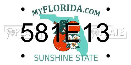 581E13 Florida License Plate