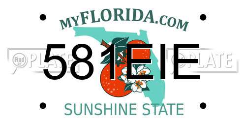 581EIE Florida License Plate