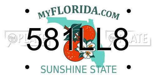 581LL8 Florida License Plate