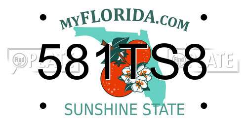 581TS8 Florida License Plate