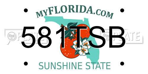581TSB Florida License Plate