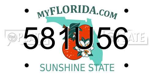 581U56 Florida License Plate