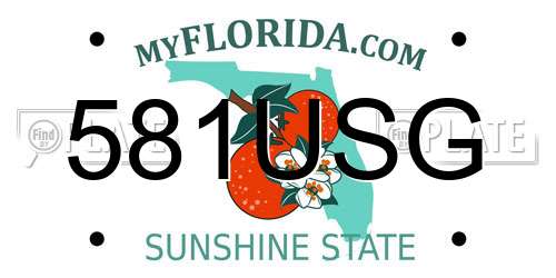 581USG Florida License Plate