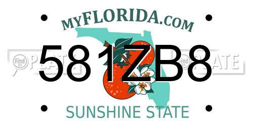 581ZB8 Florida License Plate