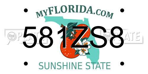581ZS8 Florida License Plate