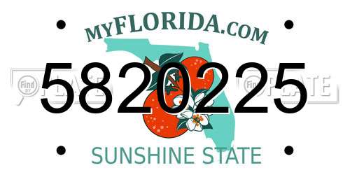 5820225 Florida License Plate