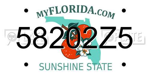 58202Z5 Florida License Plate