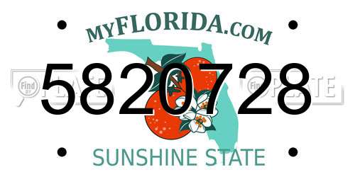 5820728 Florida License Plate