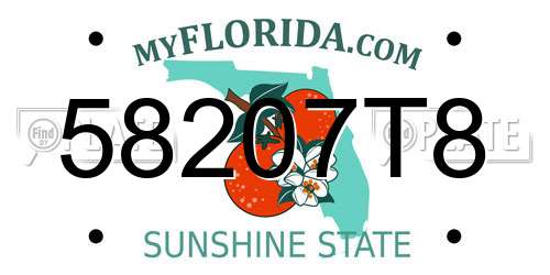 58207T8 Florida License Plate