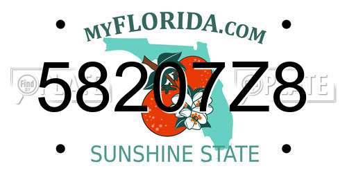58207Z8 Florida License Plate