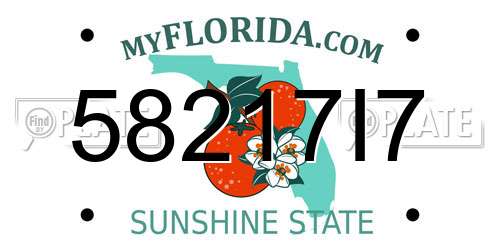 58217I7 Florida License Plate