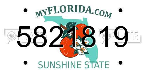 5821819 Florida License Plate