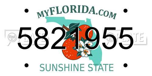5821955 Florida License Plate