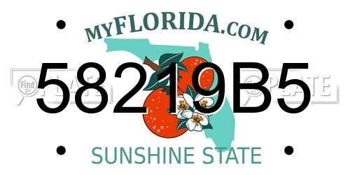 58219B5 Florida License Plate