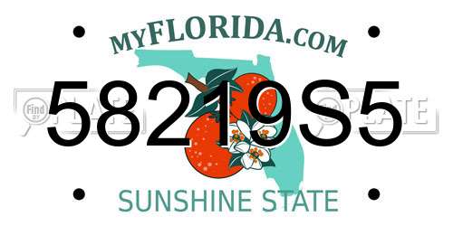 58219S5 Florida License Plate