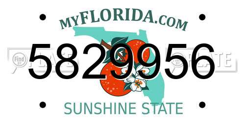 5829956 Florida License Plate