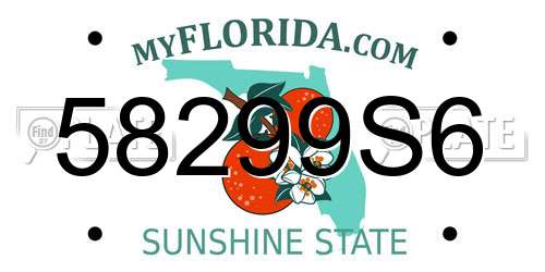 58299S6 Florida License Plate