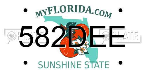 582DEE Florida License Plate