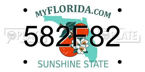 582F82 Florida License Plate