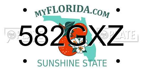 582GXZ Florida License Plate