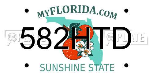 582HTD Florida License Plate