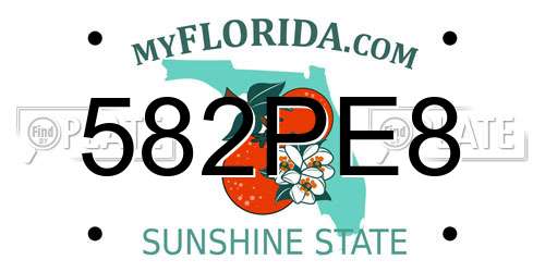 582PE8 Florida License Plate