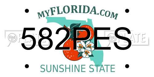 582PES Florida License Plate