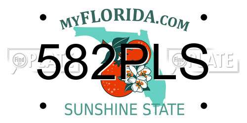 582PLS Florida License Plate
