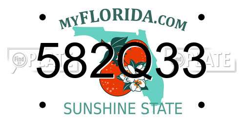 582Q33 Florida License Plate