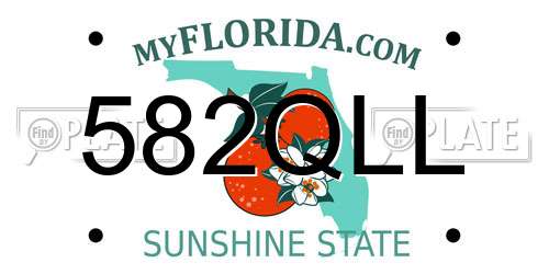 582QLL Florida License Plate