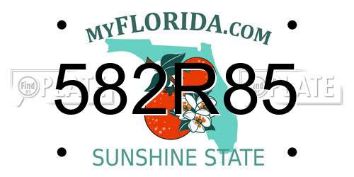 582R85 Florida License Plate