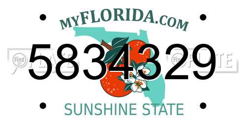 5834329 Florida License Plate