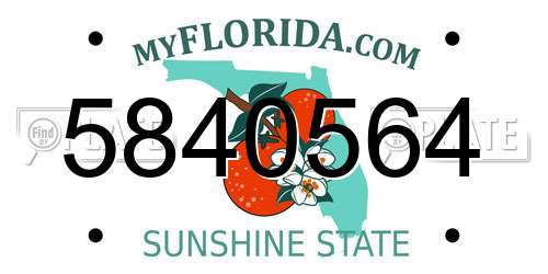 5840564 Florida License Plate